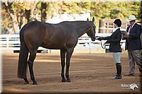4H-Dist-09_0535.jpg