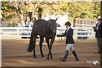 4H-Dist-09_0536.jpg