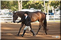 4H-Dist-09_0537.jpg