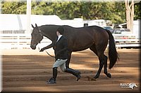 4H-Dist-09_0538.jpg