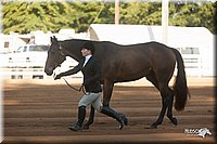 4H-Dist-09_0539.jpg