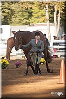 4H-Dist-09_0542.jpg