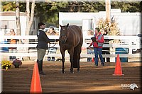 4H-Dist-09_0548.jpg