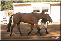 4H-Dist-09_0553.jpg