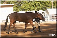 4H-Dist-09_0555.jpg