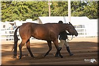 4H-Dist-09_0556.jpg
