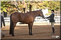 4H-Dist-09_0558.jpg