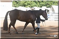 4H-Dist-09_0576.jpg