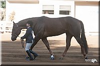 4H-Dist-09_0579.jpg