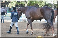 4H-Dist-09_0580.jpg