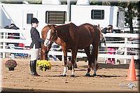 4H-Dist-09_0583.jpg