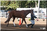 4H-Dist-09_0584.jpg