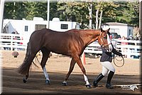 4H-Dist-09_0585.jpg