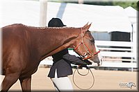 4H-Dist-09_0587.jpg