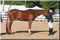 4H-Dist-09_0589.jpg