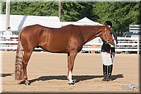 4H-Dist-09_0590.jpg