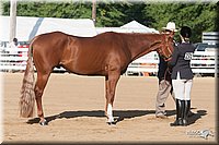 4H-Dist-09_0591.jpg