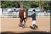 4H-Dist-09_0592.jpg