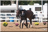 4H-Dist-09_0596.jpg