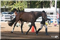 4H-Dist-09_0598.jpg