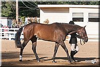 4H-Dist-09_0600.jpg