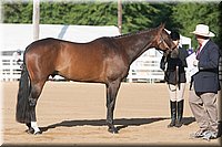4H-Dist-09_0601.jpg
