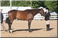 4H-Dist-09_0602.jpg
