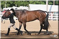 4H-Dist-09_0606.jpg