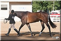 4H-Dist-09_0607.jpg