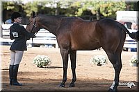 4H-Dist-09_0609.jpg