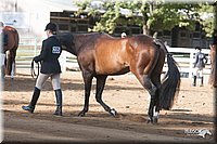 4H-Dist-09_0610.jpg