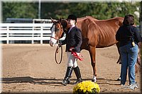 4H-Dist-09_0612.jpg