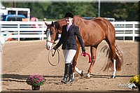 4H-Dist-09_0613.jpg