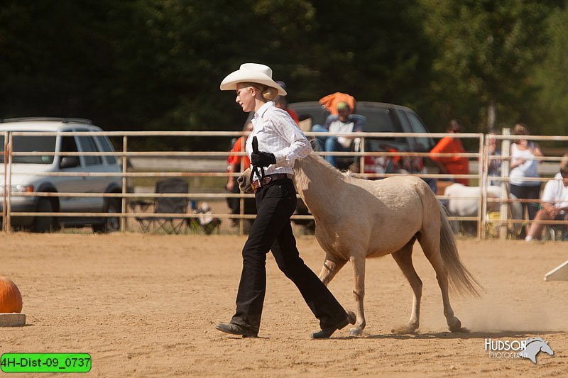 4H-Dist-09_0737.jpg