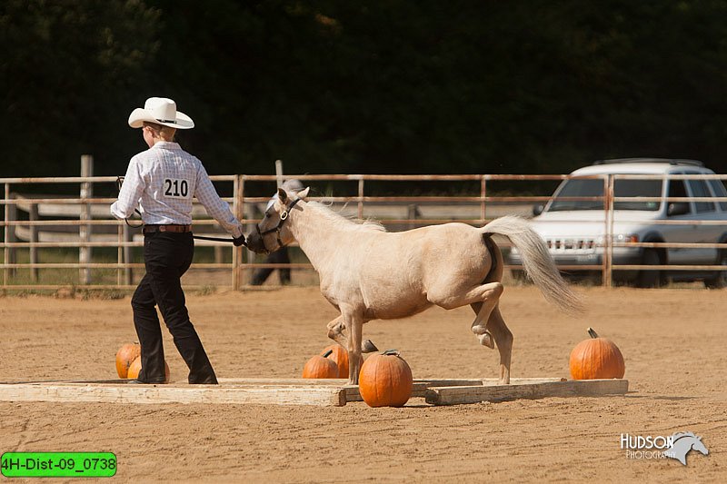 4H-Dist-09_0738.jpg