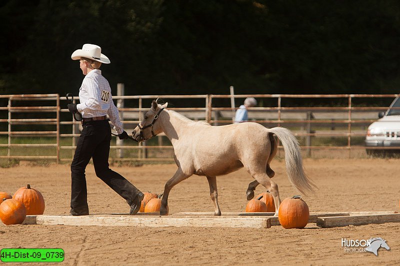 4H-Dist-09_0739.jpg