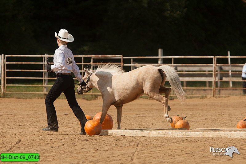 4H-Dist-09_0740.jpg