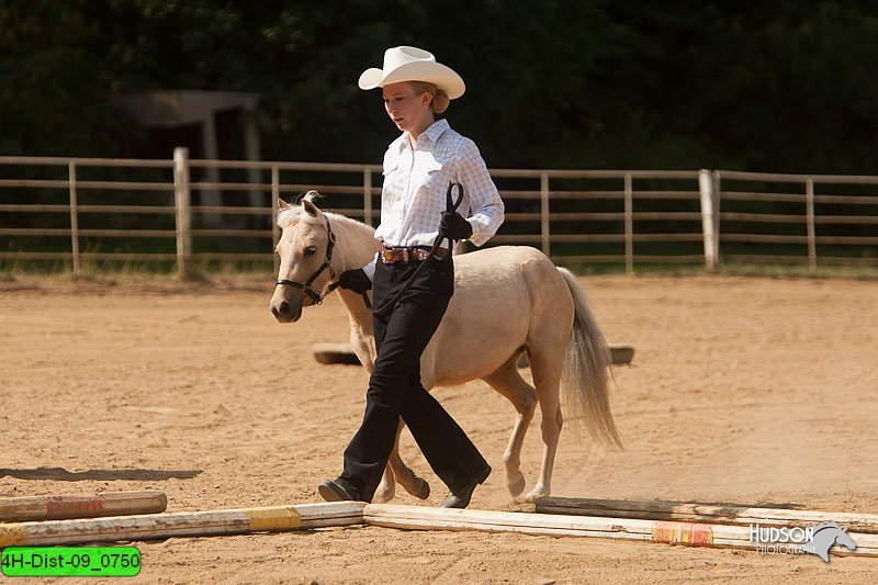 4H-Dist-09_0750.jpg