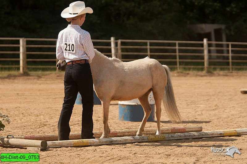 4H-Dist-09_0753.jpg