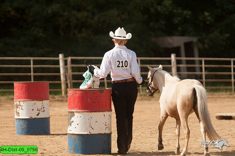 4H-Dist-09_0756.jpg