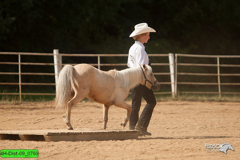 4H-Dist-09_0760.jpg