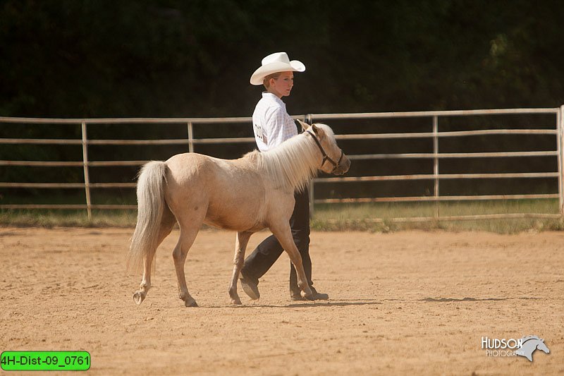 4H-Dist-09_0761.jpg