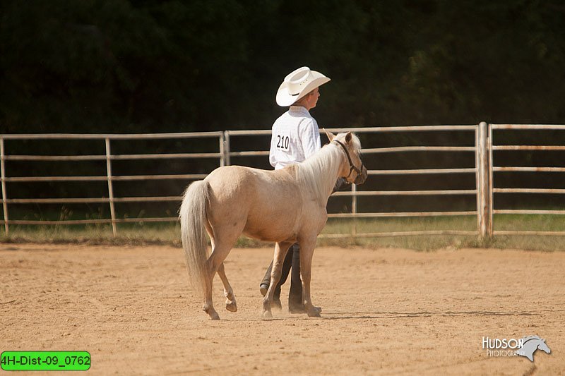 4H-Dist-09_0762.jpg