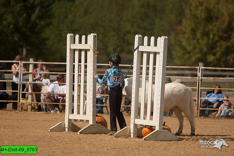4H-Dist-09_0763.jpg