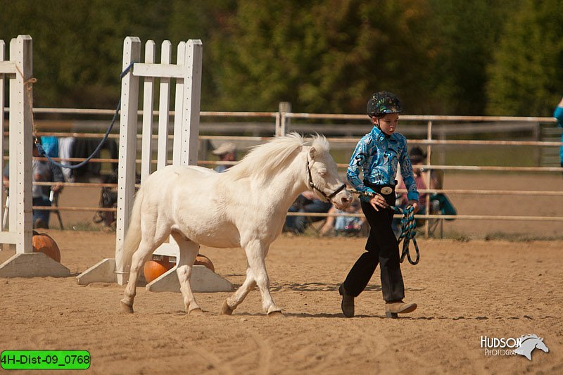 4H-Dist-09_0768.jpg