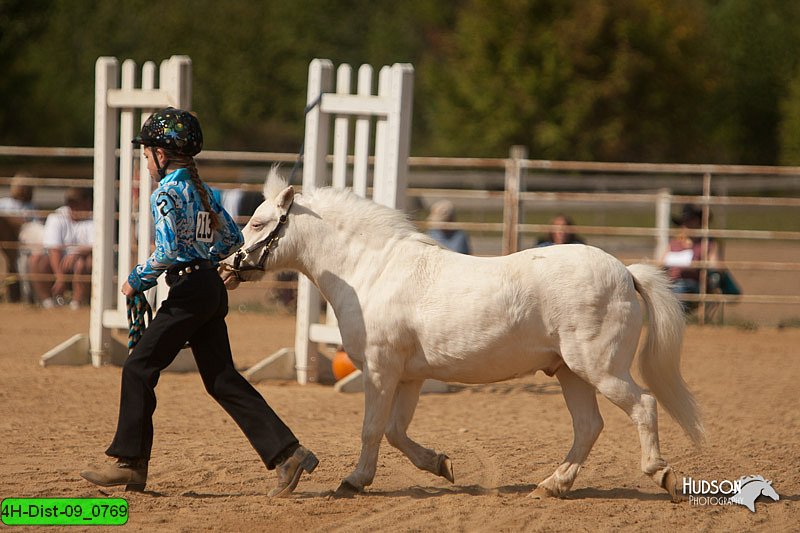 4H-Dist-09_0769.jpg