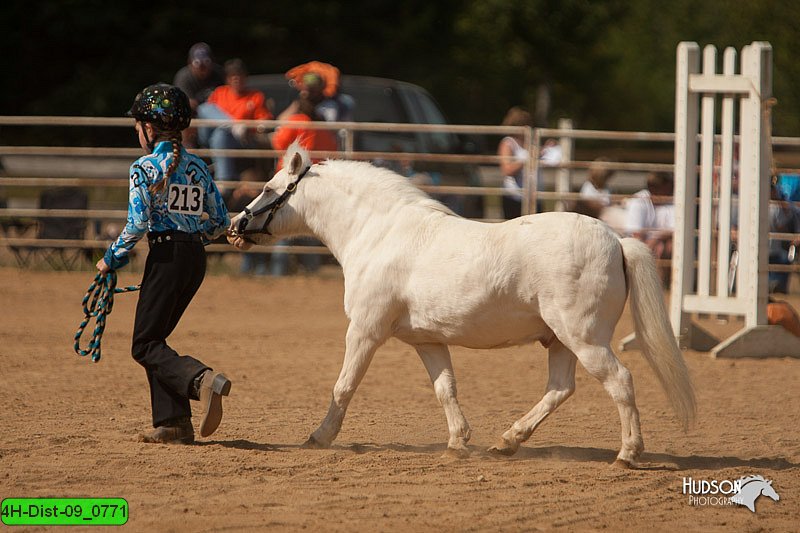 4H-Dist-09_0771.jpg