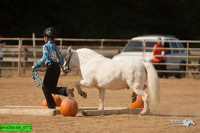 4H-Dist-09_0772.jpg