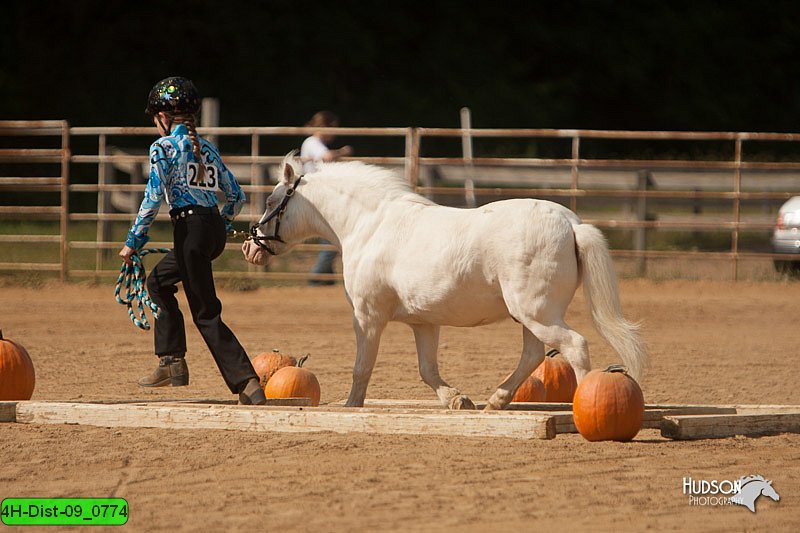 4H-Dist-09_0774.jpg