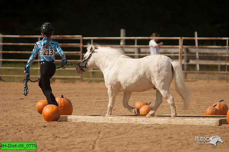 4H-Dist-09_0775.jpg